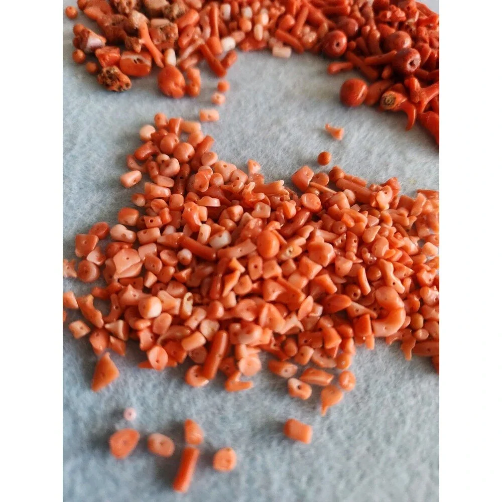 Natural Red Coral Bead Lot 66g Mixed Branch Chip Round Drilled Jewelry Making